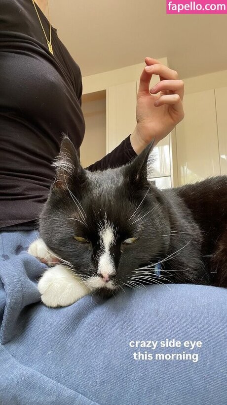 Bubbell free model galleries