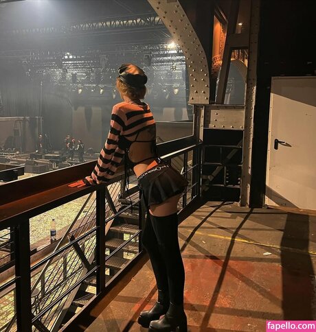 red goldenretriever pretty star archive