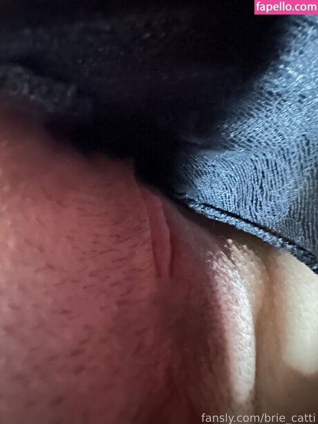 Brie cattii model sexy images