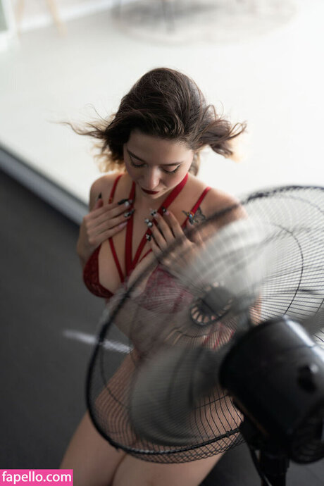 galwolfson star perfect photo