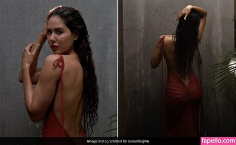 Sonam Bajwa nice model photos