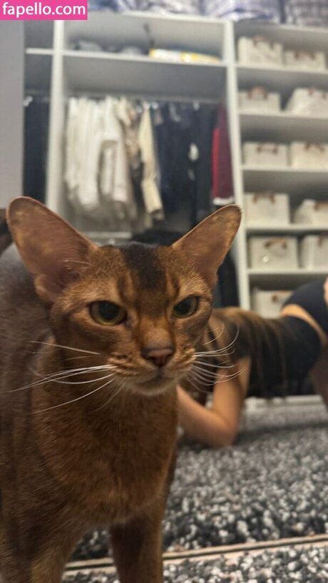 influesii753 star erotic galleries