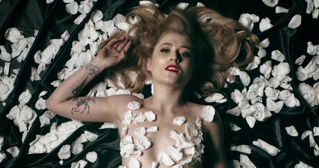 janetdevlin beautiful star gallery