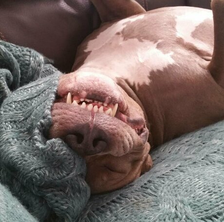 Courtneyhansen pornstar free pics