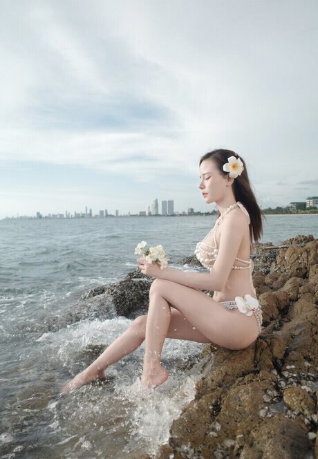 Cream Chabodee star art galleries