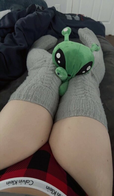 dakota perfect pornstar pics