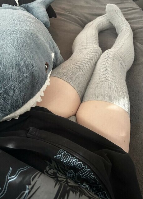 dakota pornstar perfect pic