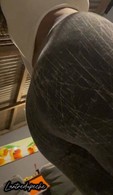 Lantredupeche model free galleries