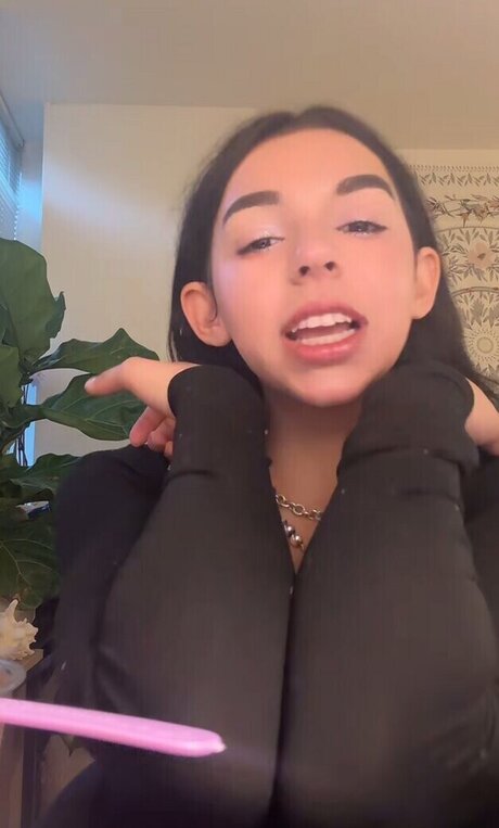 userwholovesnowfall star high quality pictures