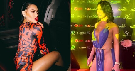 Ana Del Castillo top model image