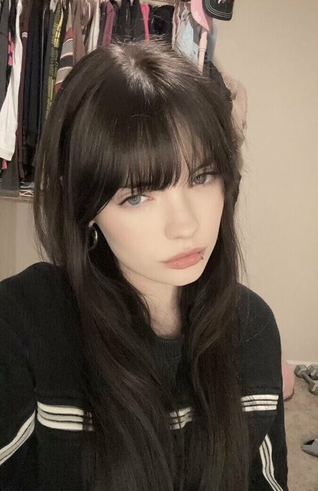 isizzly high quality star image