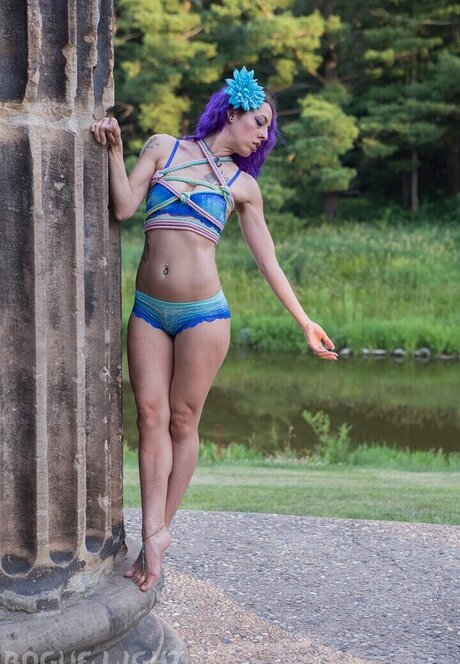 Space11kitten hot star archive