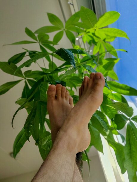 ToeSwirler perfect pornstar pic