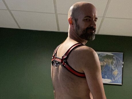 The Dog top star pic