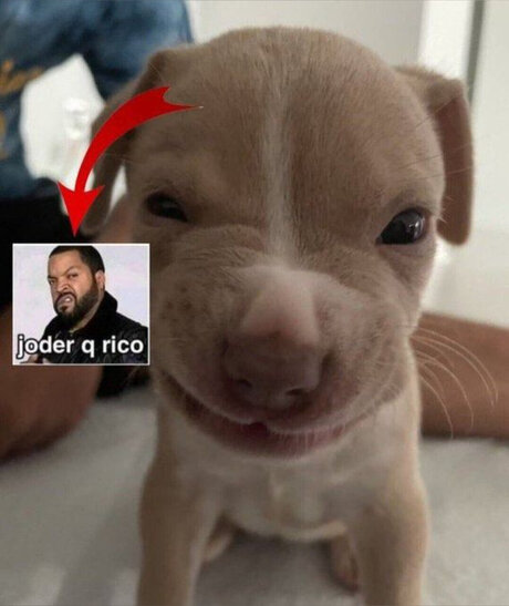 anal blonde onlyfans hot porn pictures