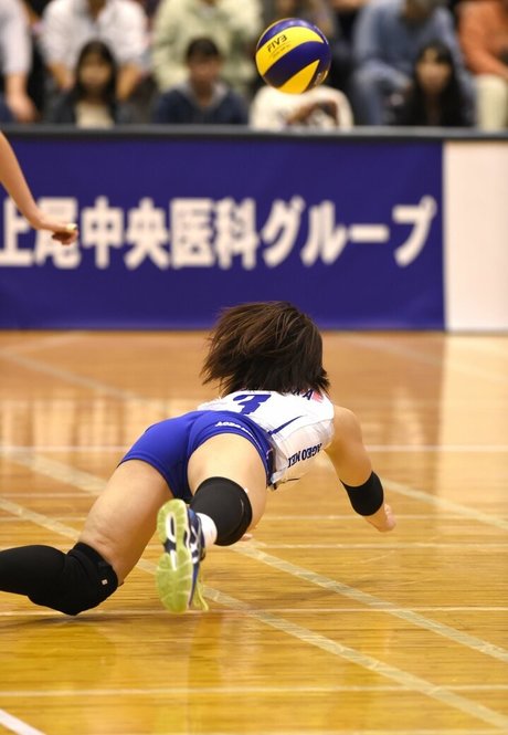 Shiho Yoshimura Profile pic