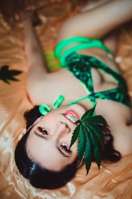 Stella Virgin hot star img