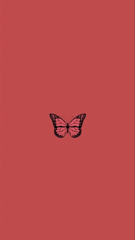 briennebabe high quality star img