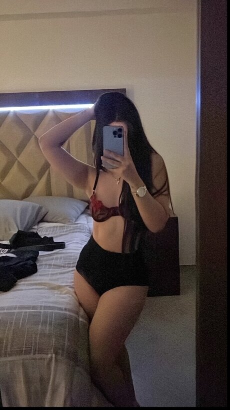 Stephania star art gallery