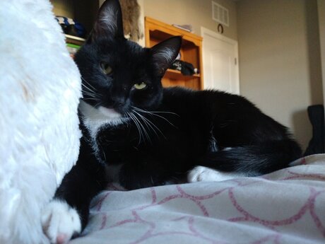 Liz 3 model nude photo