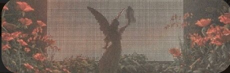 fae the god top model photo