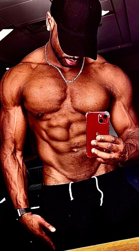 Pjay finch star free photo