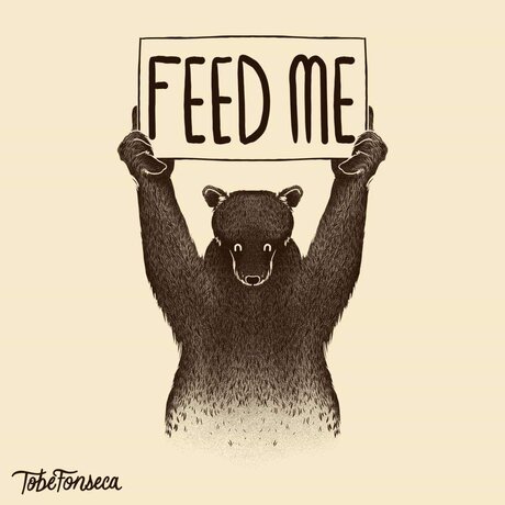 Iggy B best model archive