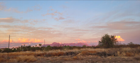 Citizen art model pics