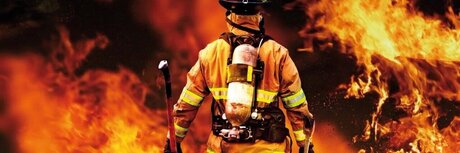 GINGERMAN best model pic