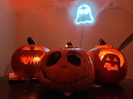 Belle Winter star sex pics