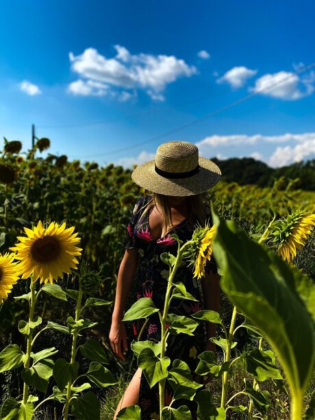 Elereal star free pics