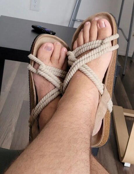 MCO FL hd star gallery