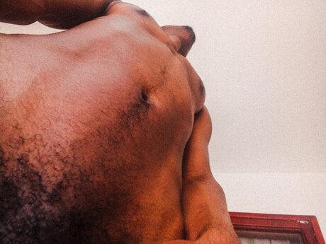 Mike Hem high quality model archive