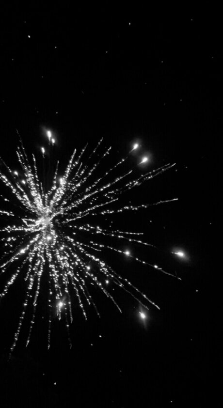 curvy lesbian onlyfans pretty pic