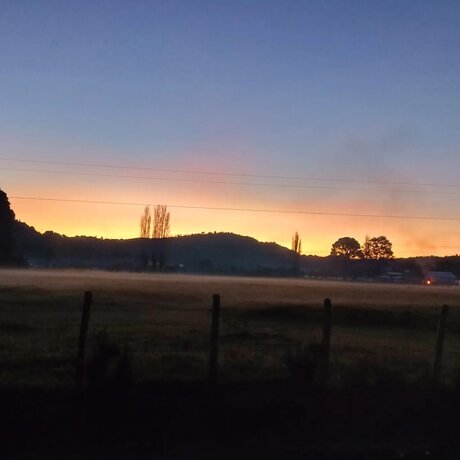 Tavita star beautiful archive