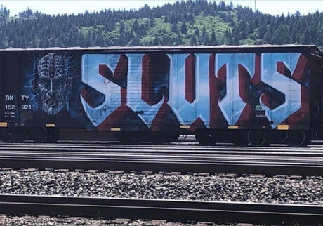 den svenska synden sex star images