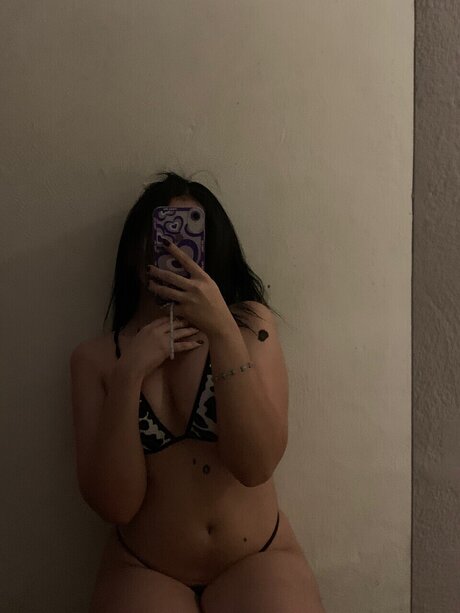 Arizona free star gallery