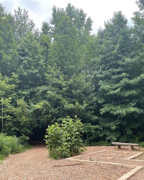 Ollie Morgan pornstar sexy photos