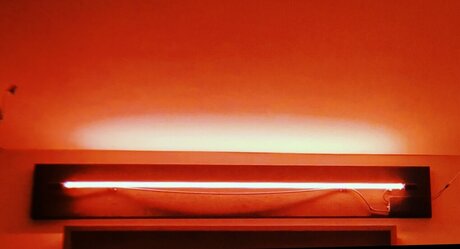 Ms Kuddo star nice images