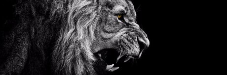 Nu Des Mondes pretty pornstar img