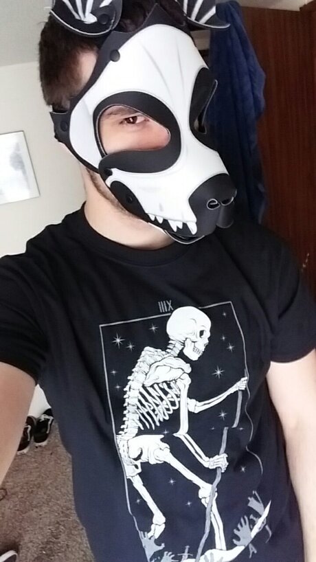 Scraps deadpup star best galleries