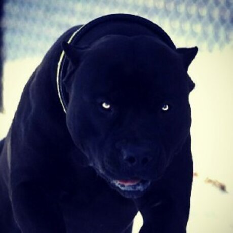 Evildarkd k star adult photos