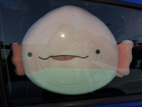 Achu Blesumi top star photo