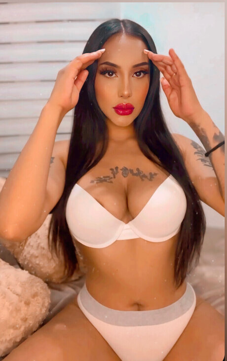 Dulce de paz perfect star archive