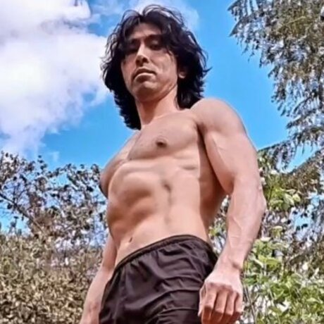 Liu Gang nudes star photo