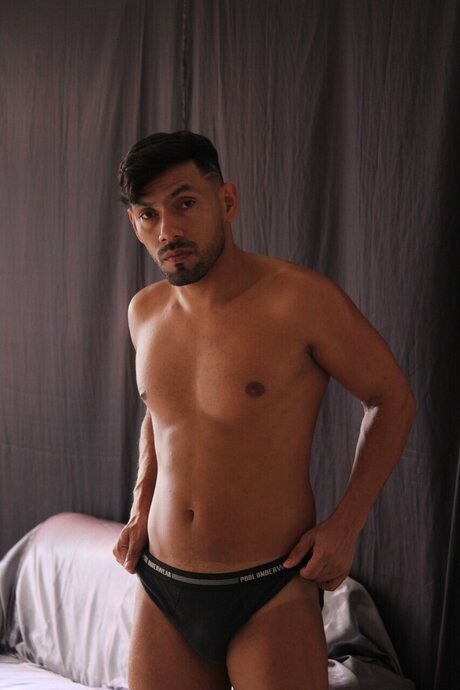 Charmyleon star best galleries