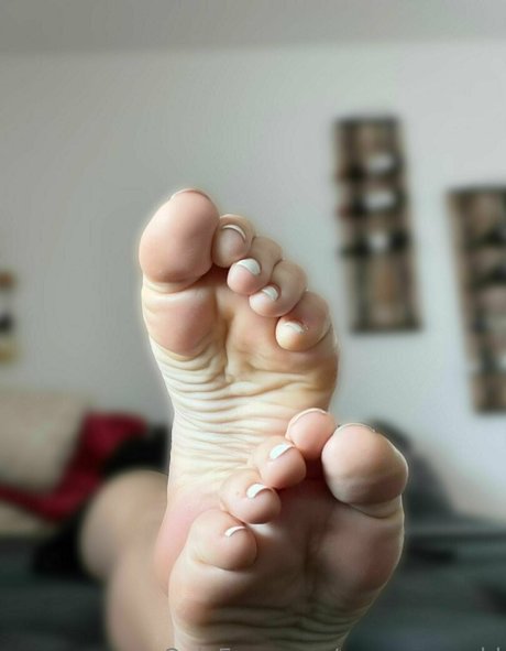 emmas world model free archive