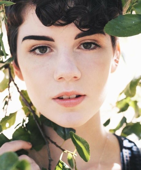 Morgan Eckroth star top picture