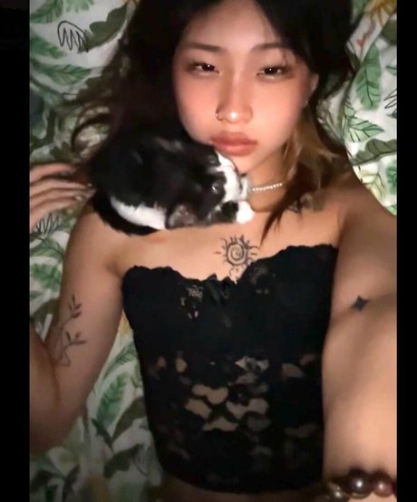 Rache lzh pornographic actress photo