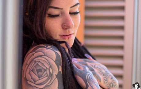 Sierhaus Profile pic